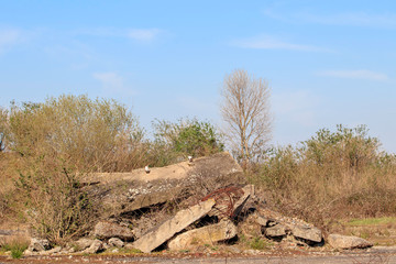 D&eacute;charge sauvage du b&acirc;timent