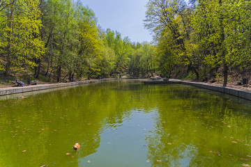 Fototapeta na wymiar Pond in the park on a sunny spring day.