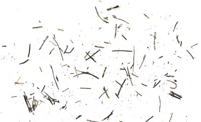 Dry crumbled twigs pile isolated on white, background and plant texture, top view