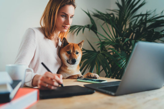 Female Artist working at home office with best friend dog, Young attractive woman in cozy homewear working on new creative project using stylus pen and wireless touchpad connected to laptop computer