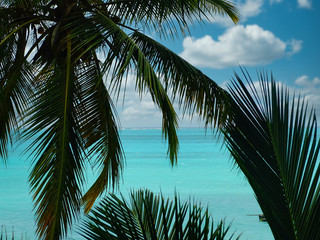 Fototapeta na wymiar Traumkulisse Raffaello Werbung, Kokospalmen und Fernweh am weißen Strand mit türkisem Meer auf Sansibar, Fischerboote und Horizont im Hintergrund