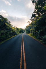 Fototapeta na wymiar A beautiful scenic road of paradise called Hawaii. The road of Na Pali Coast in island of Kauai. Tourism in the United States of America. Hawaiian tropical paradise worth your visit