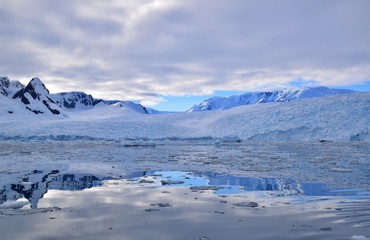 Fototapeta na wymiar Cierva Cove , Antarctica 