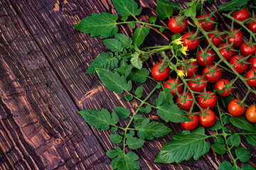 Top view of fresh cherry tomatoes on rustic wooden background. Copyspace