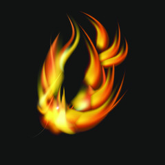 Fototapeta premium Collection of fonts or letters from fire, modern red fire, fonts Tattoo Fire. The alphabet is hot, ABC is burning. Hot typography. fire lettering, letter O