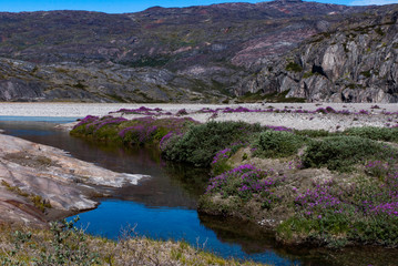 River flowing from the glacier. Greenland © Beata