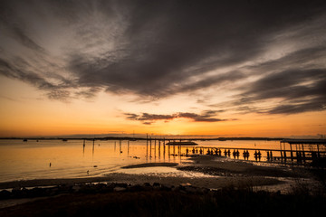 Naklejka na ściany i meble Sunrise on Sydney's Botany Bay