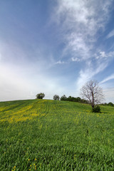 The beauty of nature. Landscape .