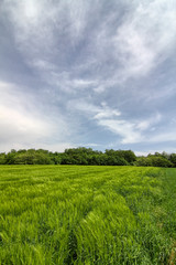 Obraz premium The beauty of nature. Landscape .