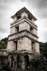 Fototapeta na wymiar maya ruines in Mexico jungle