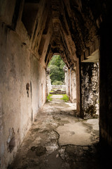 Obraz premium maya ruines in Mexico jungle