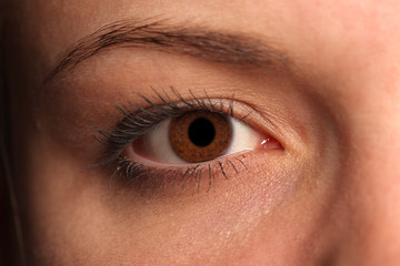 Obraz premium texture of the human eye closeup