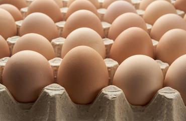 whole round raw brown homemade chicken eggs in a paper tray