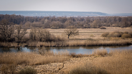 A quiet river in a green rural area. Beautiful landscape with a river with calm water, located next to a spring forest in nature. A narrow, winding river that runs through a grove of trees.