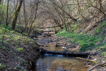 Small creek in the Buda mountains near the village Solymar, Hungary.