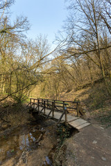 Fototapeta premium Small wooden bridge in the Buda mountains near the village Solymar, Hungary.
