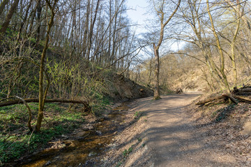 Hiking path in the Buda mountains near the village Solymar, Hungary.