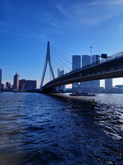 Fototapeta na wymiar blue panorama of the Erasmus bridge from Rotterdam on the river