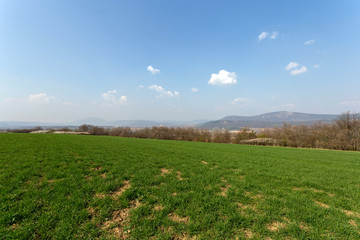 Green field in the Buda mountains, near Solymar, Hungary.