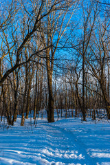 St-Charles River in winter day - Quebec