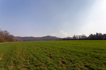 Green field in the Buda mountains, near Solymar, Hungary.