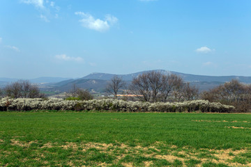 Green field in the Buda mountains, near Solymar, Hungary.