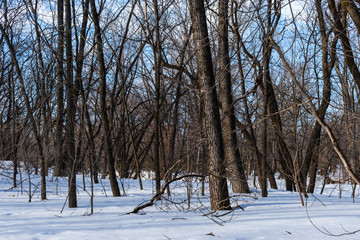 St-Charles River in winter day - Quebec