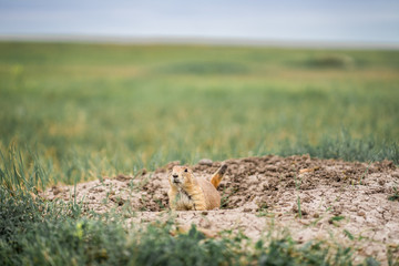 Badlands National Park in South Dakota