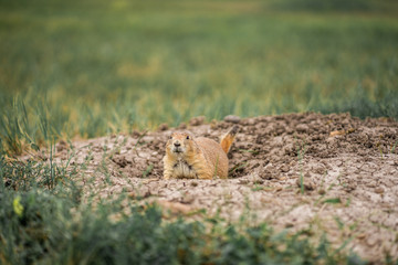 Badlands National Park in South Dakota
