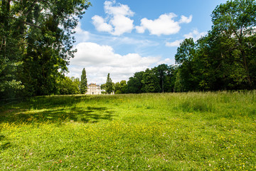Green meadow in the Park, in the distance stands an old building. Summer.