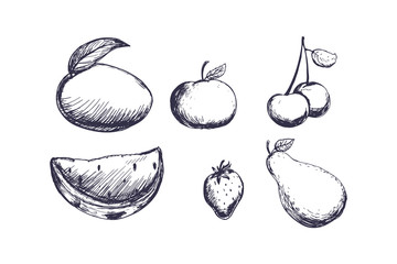 Fruits vector sketch set.