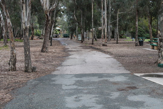 path in park