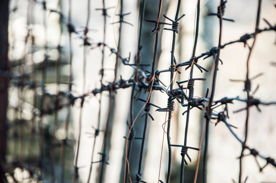 barbed wire fence on a light background