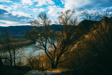 Photo of some dark hills near Danube river on spring time with no leaves trees and yellow grass.