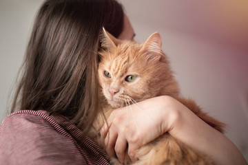 Cat and owner having a close relationship, cat on owner's shoulder