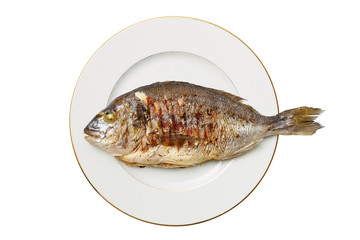 Tasty appetizing dorado fried fish lies on a white plate with a gold border, isolated on white background