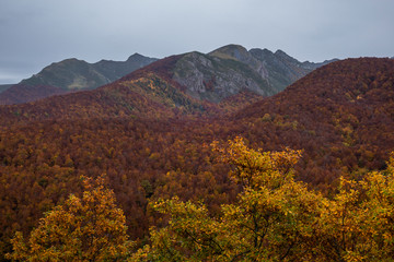 Montañas y bosques durante el otoño