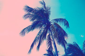 Fototapeta na wymiar Tall palm tree by the sea against the sky, pink-turquoise tinted image.