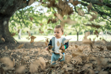 little boy playing with leaves at the park