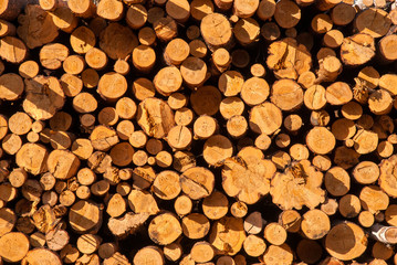 Logs round logs piled on top of each other