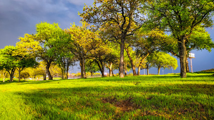 Autumn in the park