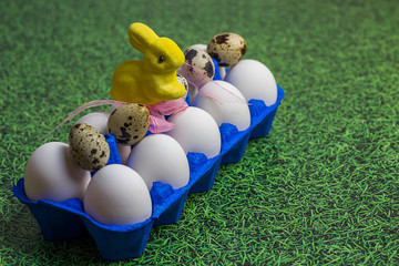 white chicken and quail eggs in a blue uniform, a tray and a yellow Easter bunny with a pink bow on a background of green grass