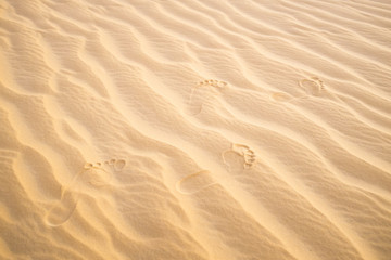 Footsteps in the Sand - Barefoot in the Desert