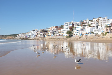 Beach of Taghazout near Agadir with Seagulls Mirrored in the Water