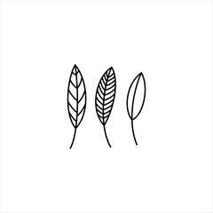 Set of leaves silhouettes in line style. Plants structure. Vector illustration isolated on white background.