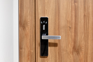 Front door with a handle. Home security. 