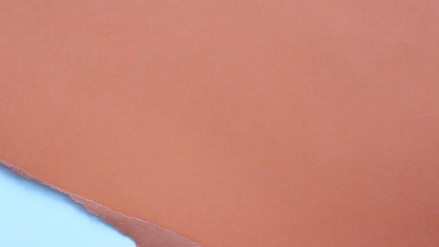 Close up of torn apart paper tearing into white screen background