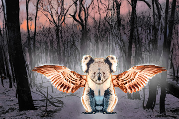 Illustrative concept representing the death of koalas and wildlife in Australian catastrophic bush fires. Pictured is a burnt trees and a ghostly koala with wings © Rose Makin