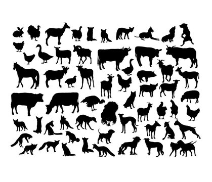 Animal Activity Silhouettes, art vector design