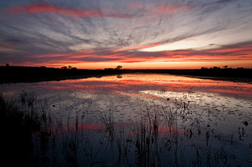 Reflections of a vivid sunset sky streak across the surface of a wetland marsh northern Illinois.